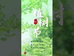 rodillos transportadores de óxido de aluminio